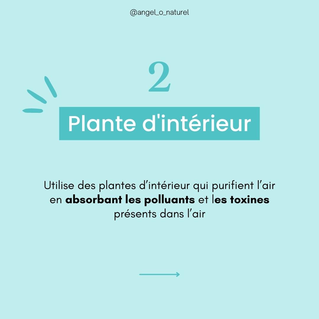 Astuce N°2 pour améliorer la qualité de l'air dans ta maison