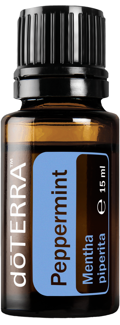 Bouteille huile essentielle Menthe poivrée (Mentha piperita)